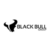 black bull group logo