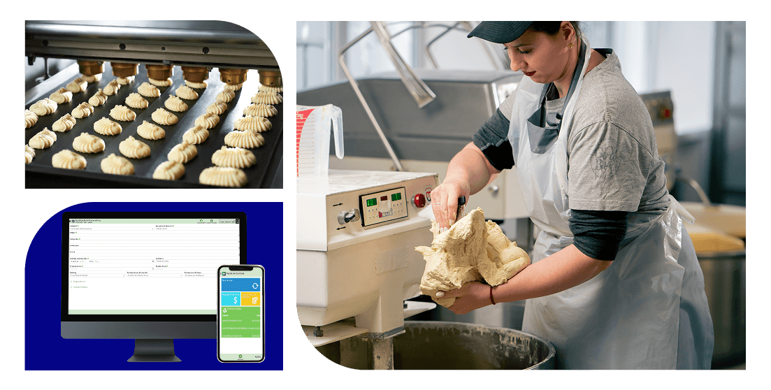 Indústria de Panificação