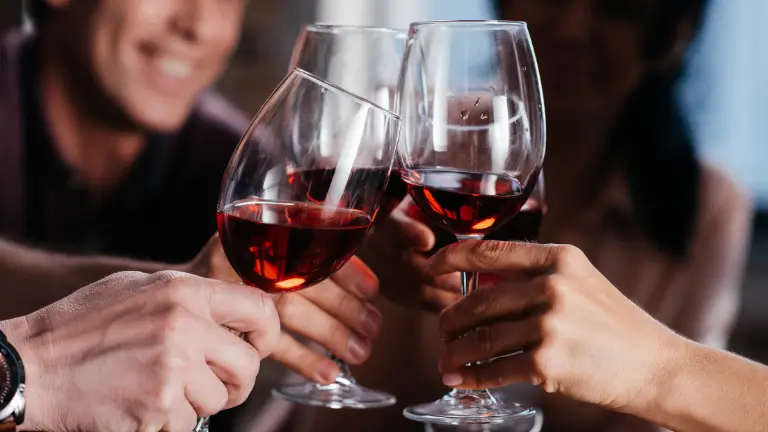 Teknisa - Sistema para bar: Pessoas brindando taças de vinho