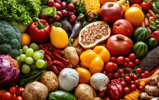 Teknisa - Sistemas sustentáveis de produção de alimentos